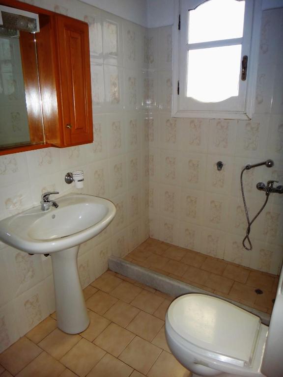 Lefkothea Apartments Frínion 部屋 写真