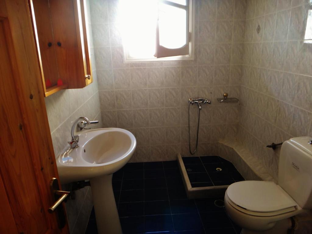 Lefkothea Apartments Frínion エクステリア 写真